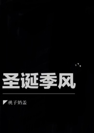 圣诞季自拍馆折扣